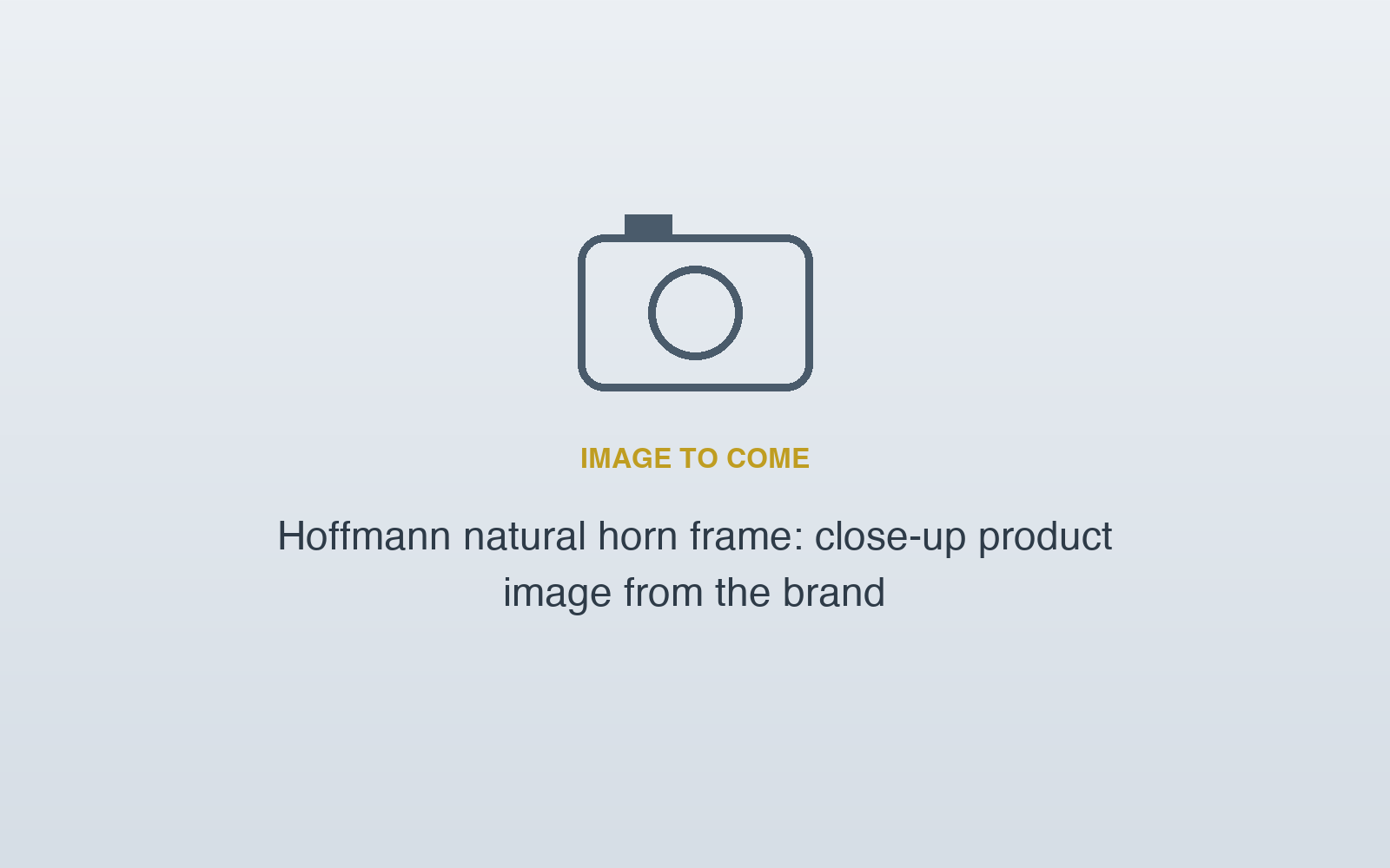 Placeholder – Hoffmann natural horn frame: close-up product image from the brand